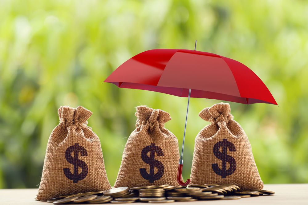 How Can I Protect My Finances and Assets Through Insurance?