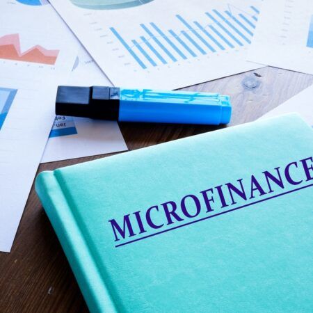 The Power of Microfinance: Banking Services for the Unbanked