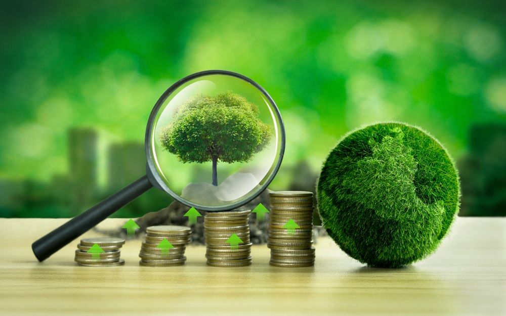 Green Banking: Environmentally Friendly Banking Practices