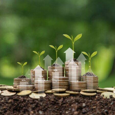 Sustainable Budgeting: How to Make Eco-Friendly Financial Choices