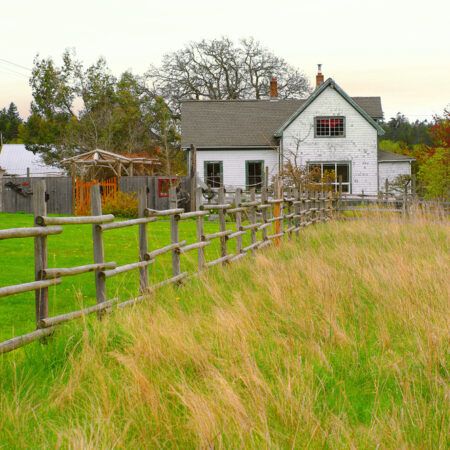 Transitioning from Urban to Rural Living: A Guide for Home Buyers