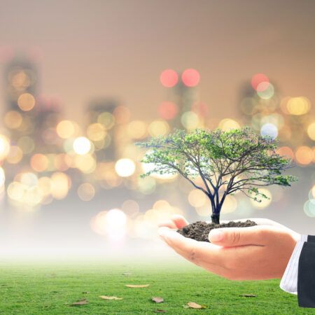 Eco-Friendly Entrepreneurship: Making Money by Going Green