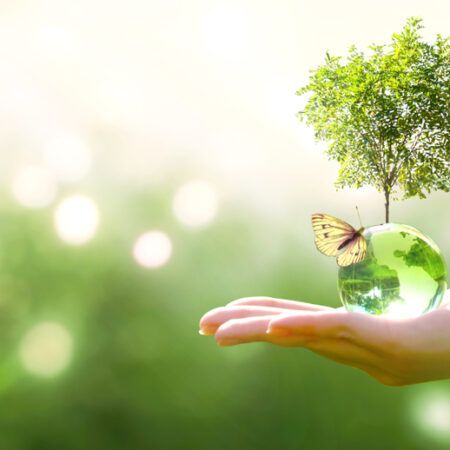 Eco-Savings: Reducing Environmental Impact While Saving Money