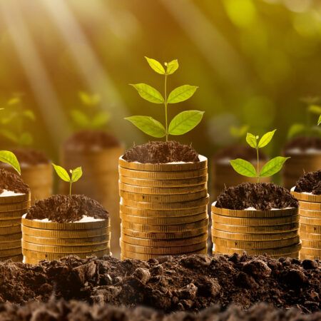 Investing for Beginners: Simple Strategies to Grow Your Wealth