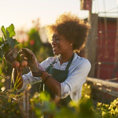 The Green Thumb Profit: Making Money from Urban Gardening