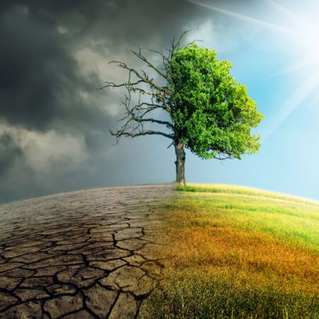 How Climate Change is Influencing the Insurance Landscape