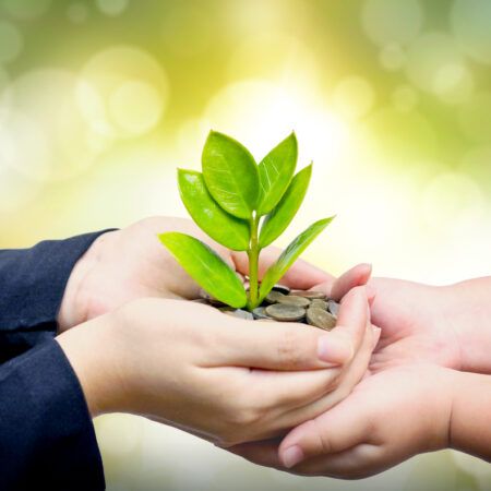 The Shift Towards Sustainable Banking: How Your Bank Can Make a Difference