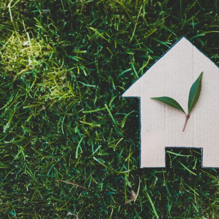 Eco-Conscious Home Buying: Finding Your Green Dream Home