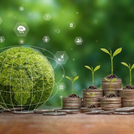 The Role of Banks in Fighting Climate Change: Green Financing and Sustainable Practices