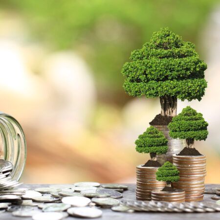 Green Tax Incentives: How to Benefit from Being Eco-Friendly