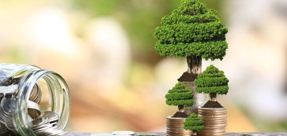 Green Tax Incentives: How to Benefit from Being Eco-Friendly